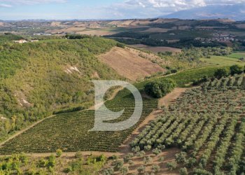 Foto 14 - Agriturismo Contrada Fiorano, Loreto Aprutino - foto 14