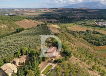 Foto 15 - Agriturismo Contrada Fiorano, Loreto Aprutino - foto 15