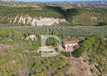 Foto 17 - Agriturismo Contrada Fiorano, Loreto Aprutino - foto 17