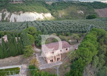 Foto 19 - Agriturismo Contrada Fiorano, Loreto Aprutino - foto 19