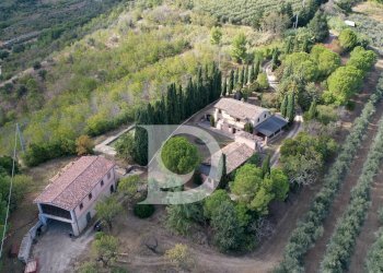 Foto 29 - Agriturismo Contrada Fiorano, Loreto Aprutino - foto 29