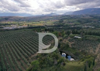 Foto 76 - Agriturismo Contrada Fiorano, Loreto Aprutino - foto 76