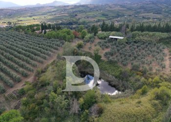 Foto 74 - Agriturismo Contrada Fiorano, Loreto Aprutino - foto 74