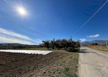 Foto 34 - Casa indipendente Contrada Scannella Inferiore
 
1, Loreto Aprutino - foto 34