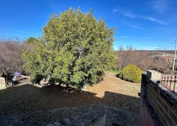 Foto 36 - Casa indipendente Contrada Scannella Inferiore
 
1, Loreto Aprutino - foto 36