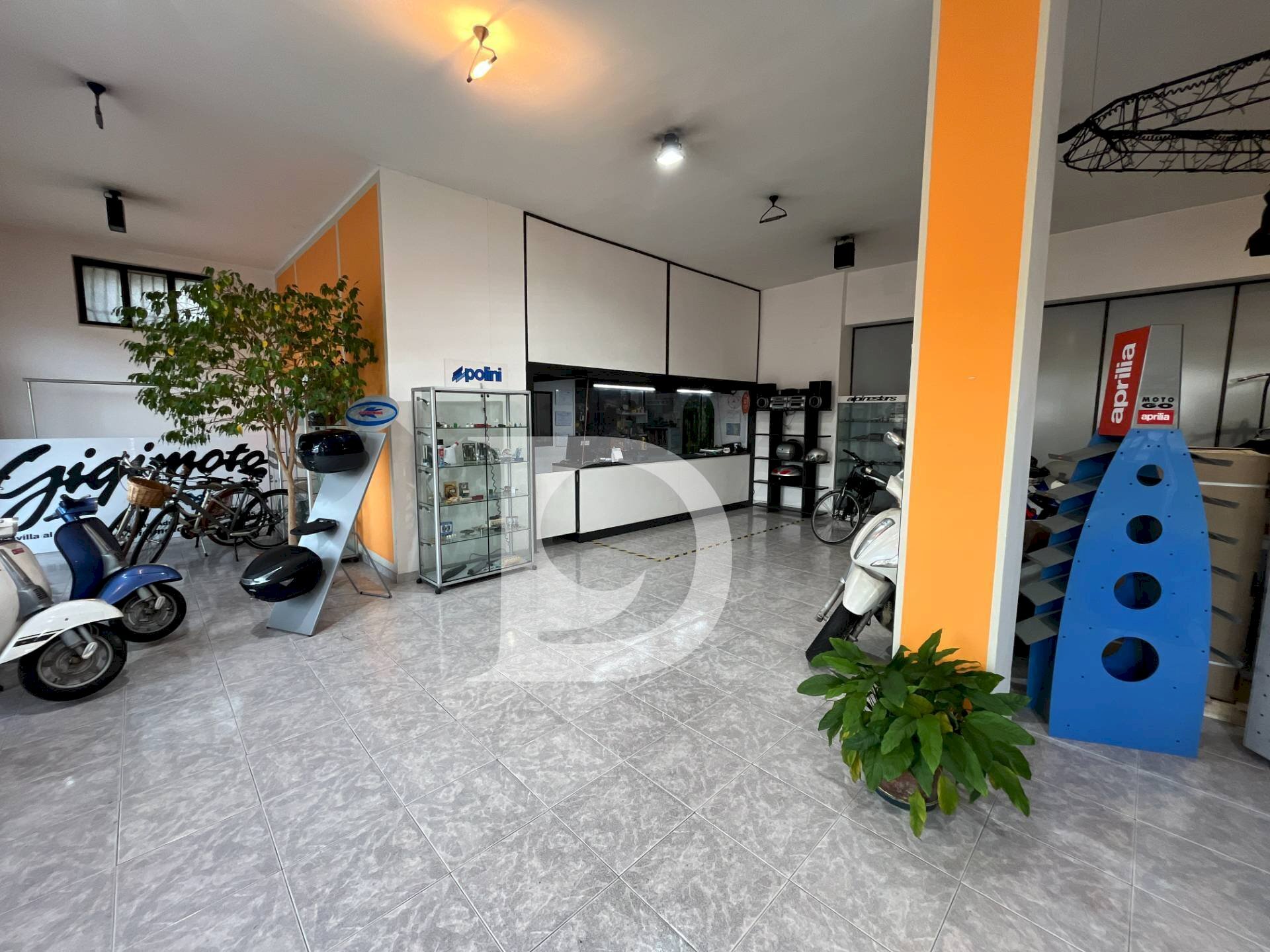 Foto 3 - Locale Commerciale Via Nazionale Adriatica, Francavilla al Mare - foto 3