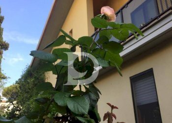 Foto 37 - Villa Via Sella Di Corno, Pescara - foto 37