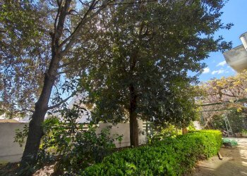 Foto 29 - Villa Via Benedetto Croce
 
29, Taviano - foto 29