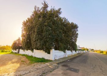 Foto 70 - Villa Via Benedetto Croce
 
29, Taviano - foto 70