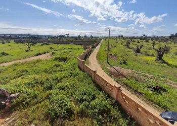 Foto 31 - Villa Strada Provinciale Tuglie Collepasso, Tuglie - foto 31