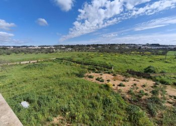 Foto 49 - Villa Strada Provinciale Tuglie Collepasso, Tuglie - foto 49