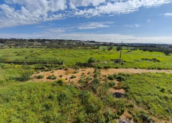 Foto 50 - Villa Strada Provinciale Tuglie Collepasso, Tuglie - foto 50