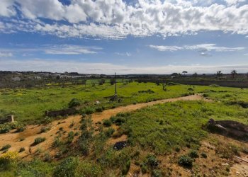 Foto 51 - Villa Strada Provinciale Tuglie Collepasso, Tuglie - foto 51