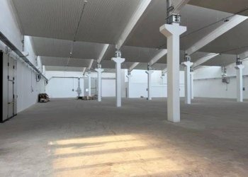 Interno non residenziale - Shed via Don Minzoni, Granarolo dell'Emilia - photo 9