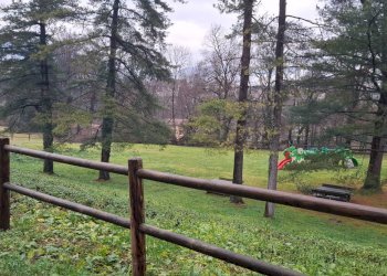 Foto 24 - Quadrilocale Via Dante Alighieri
 
8A, Merone - foto 24