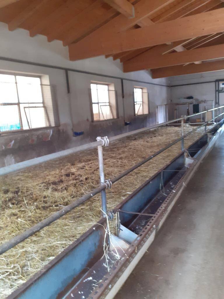 Foto 2 - Farm Via Pian dl Tivano
 
19, Sormano - photo 2