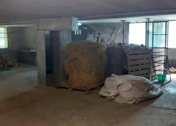 Foto 1 - Azienda agricola Via Pian dl Tivano
19, Sormano - foto 1