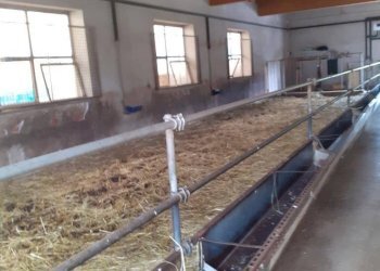 Foto 2 - Azienda agricola Via Pian dl Tivano
19, Sormano - foto 2