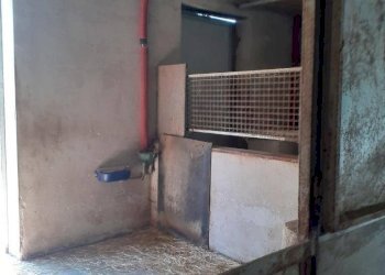 Foto 3 - Azienda agricola Via Pian dl Tivano
19, Sormano - foto 3