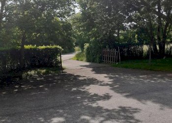 Foto 8 - Azienda agricola Via Pian dl Tivano
19, Sormano - foto 8