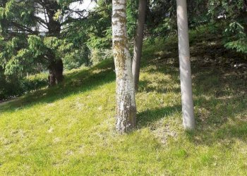 Foto 9 - Azienda agricola Via Pian dl Tivano
19, Sormano - foto 9