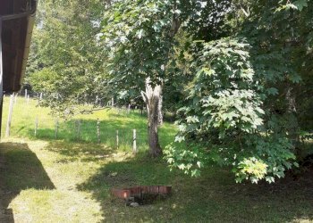 Foto 12 - Azienda agricola Via Pian dl Tivano
19, Sormano - foto 12