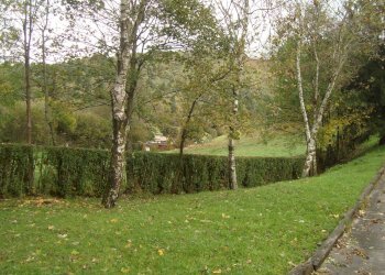 Foto 17 - Azienda agricola Via Pian dl Tivano
19, Sormano - foto 17