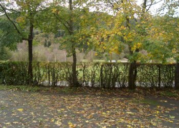 Foto 19 - Azienda agricola Via Pian dl Tivano
19, Sormano - foto 19