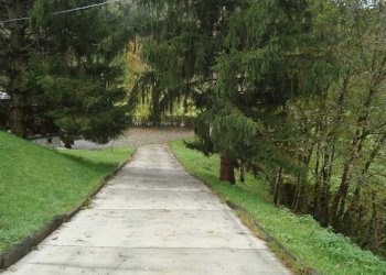 Foto 26 - Azienda agricola Via Pian dl Tivano
19, Sormano - foto 26