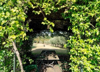 Foto 43 - Villa Strada Vicinale Valle Rote
 
snc, Bassano in Teverina - foto 43