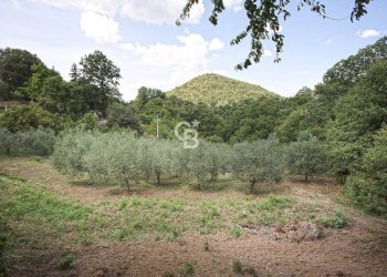 Foto 30 - Villa Strada Romana, Viterbo - foto 30
