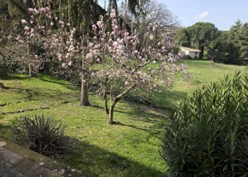 Foto 29 - Quadrilocale Via Carlo Pisacane, Viterbo - foto 29