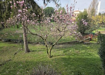 Foto 33 - Quadrilocale Via Carlo Pisacane, Viterbo - foto 33