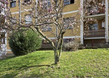 Foto 36 - Quadrilocale Via Carlo Pisacane, Viterbo - foto 36