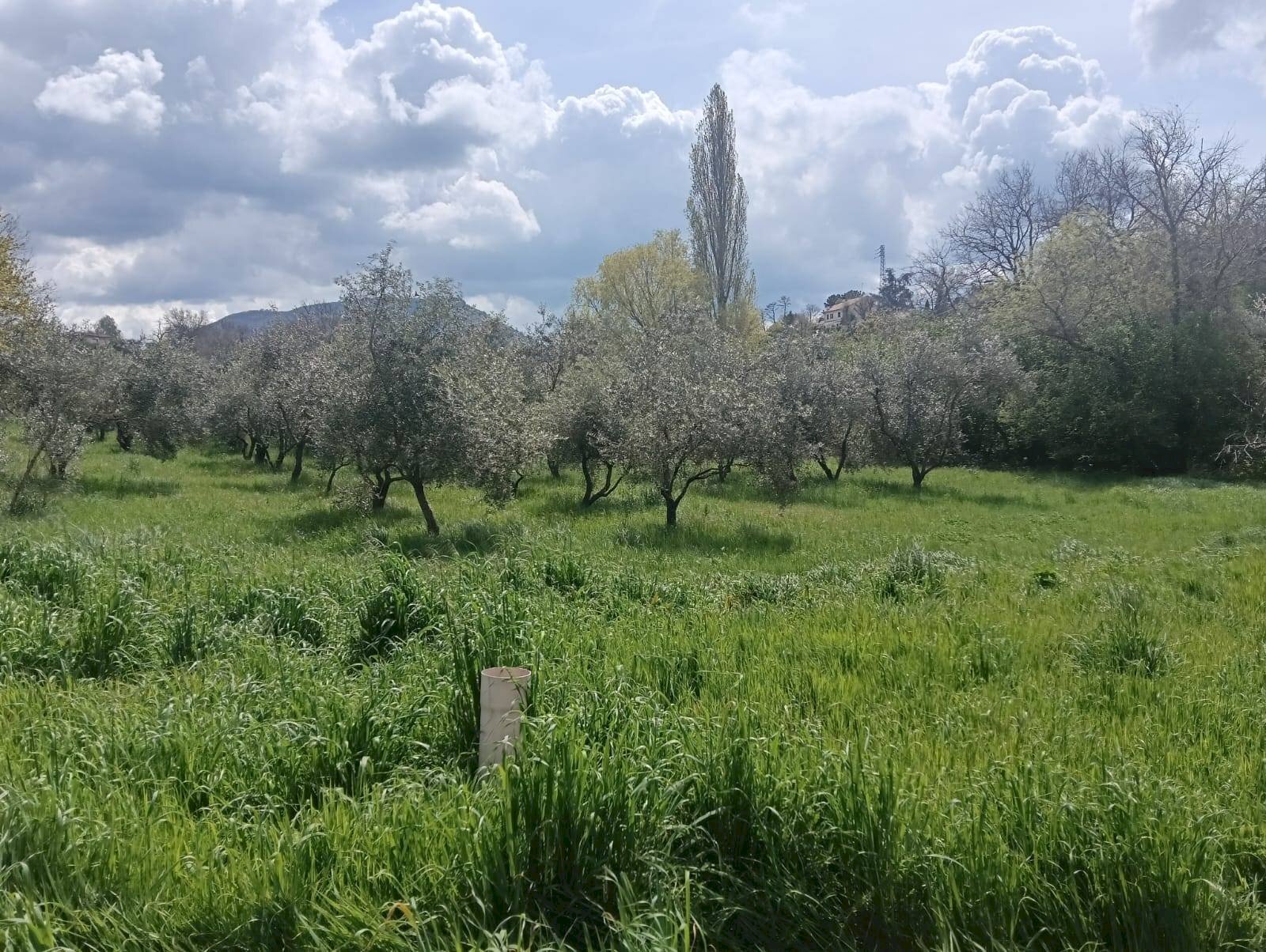 Foto 2 - Casa indipendente strada Pian del Cerro, Viterbo - foto 2