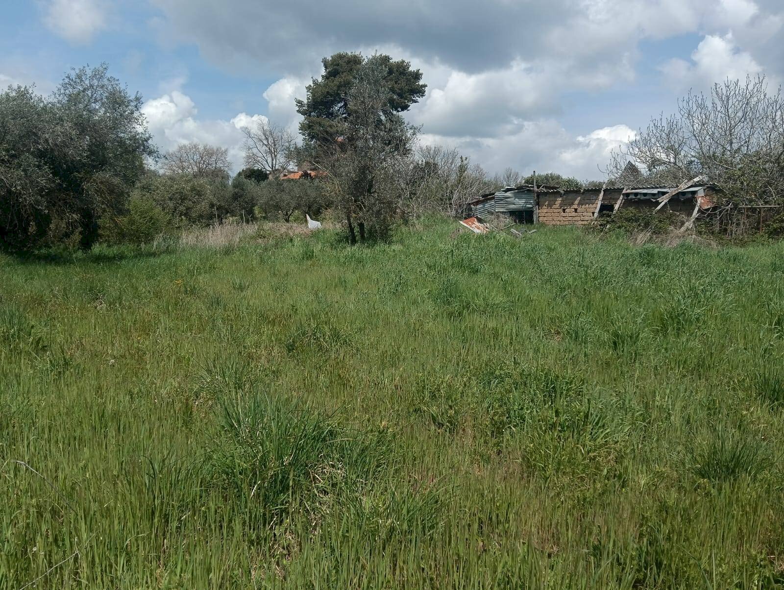 Foto 3 - Casa indipendente strada Pian del Cerro, Viterbo - foto 3