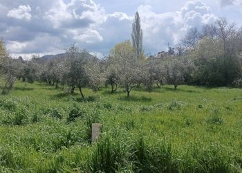 Foto 2 - Casa indipendente strada Pian del Cerro, Viterbo - foto 2