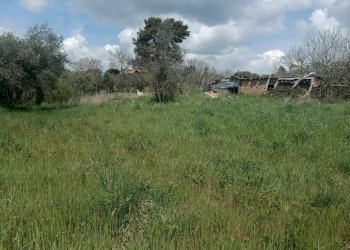 Foto 3 - Casa indipendente strada Pian del Cerro, Viterbo - foto 3