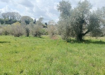 Foto 4 - Casa indipendente strada Pian del Cerro, Viterbo - foto 4