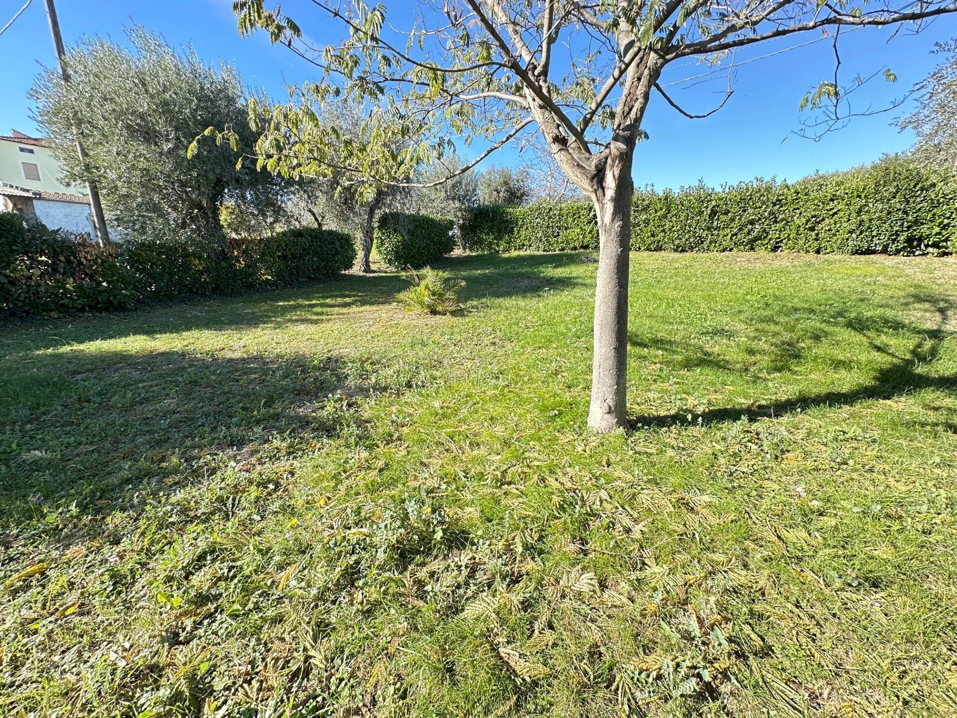 Foto 3 - Casa indipendente Contrada Santa Reparata
 
15, Civitella del Tronto - foto 3