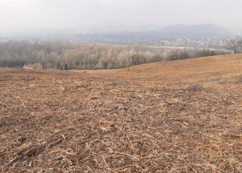 Terreno - Agricultural land via Casaglia, Bologna (neighborhood Colli) - photo 1