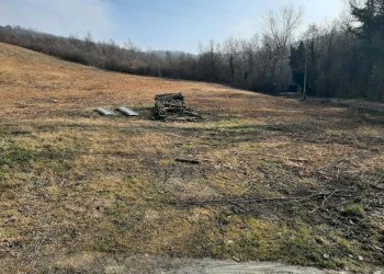 Terreno - Agricultural land via Casaglia, Bologna (neighborhood Colli) - photo 3