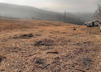 Terreno - Agricultural land via Casaglia, Bologna (neighborhood Colli) - photo 5