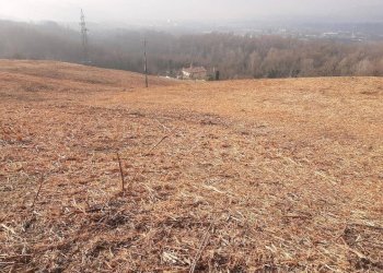 Terreno - Agricultural land via Casaglia, Bologna (neighborhood Colli) - photo 6