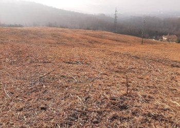 Terreno - Agricultural land via Casaglia, Bologna (neighborhood Colli) - photo 7