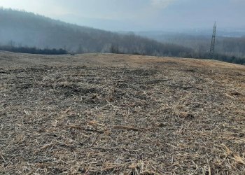 Terreno - Agricultural land via Casaglia, Bologna (neighborhood Colli) - photo 9