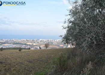 Foto 12 - Rustico CONTRADA COLLE MONTERENZO
 
4/A, San Benedetto del Tronto - foto 12