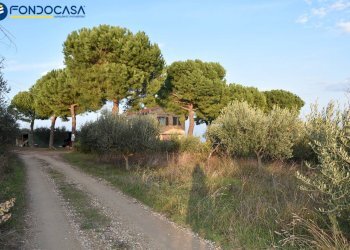 Foto 16 - Rustico CONTRADA COLLE MONTERENZO
 
4/A, San Benedetto del Tronto - foto 16