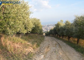 Foto 17 - Rustico CONTRADA COLLE MONTERENZO
 
4/A, San Benedetto del Tronto - foto 17