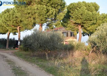 Foto 20 - Rustico CONTRADA COLLE MONTERENZO
 
4/A, San Benedetto del Tronto - foto 20